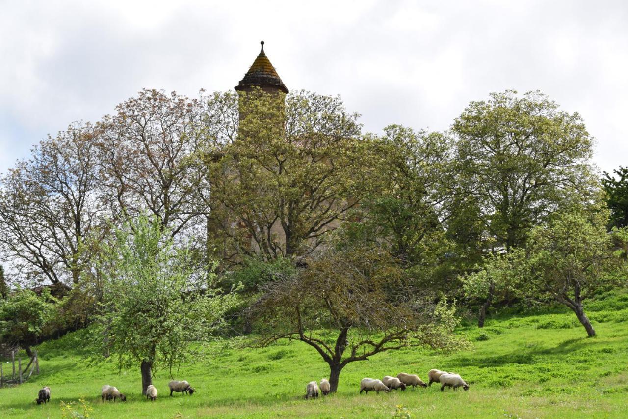 Casa Rural Galain Lizaso Kültér fotó